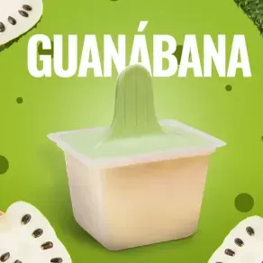HELADO SAN JERONIMO TRADICIONAL GUANABANA *80 GR