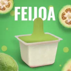 HELADO SAN JERONIMO TRADICIONAL FEIJOA *80 GR
