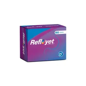 REFLUYET 15 GR * 60 CAP