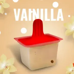 HELADO SAN JERONIMO TRADICIONAL VAINILLA *80 GR