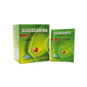 GLUCOSAMINA + CONDROITINA * 15 S/S