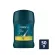 REXONA-DESO-BARRA-V8---50-GR