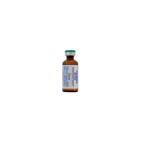 TIAMINA-100-MG-AMP---10-ML